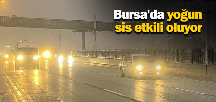 Bursa'da yoğun sis etkili oluyor