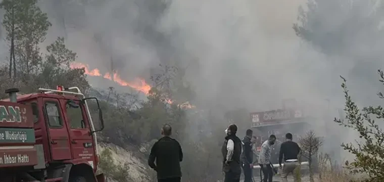 Bursa'dan Balıkesir'e sıçrayan yangın kontrol altına alındı