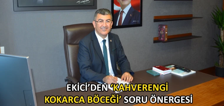 Ekici’den ‘kahverengi kokarca böceği’ soru önergesi