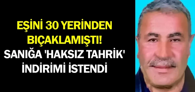 Eşini 30 yerinden bıçaklamıştı! Sanığa 'haksız tahrik' indirimi istendi