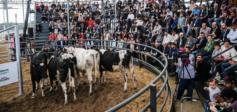 Genç ve kadın üreticilere yem desteği