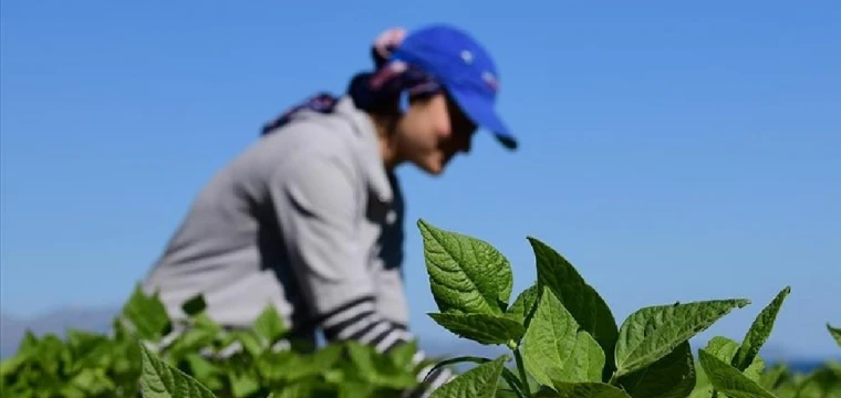 IPARD Programı'ndan yararlanan genç girişimciler artıyor