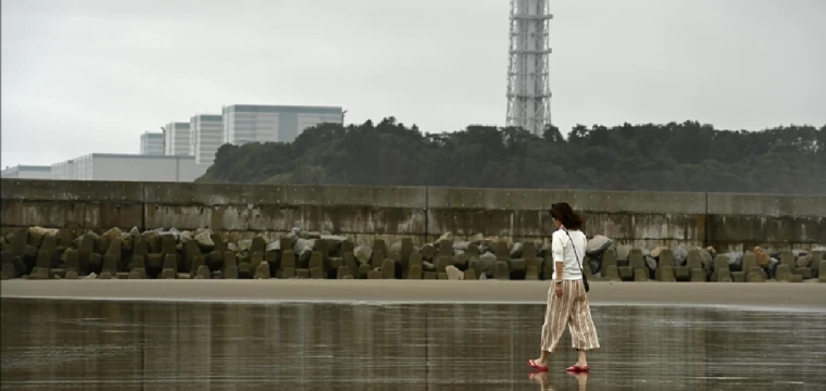 Japonya'da nükleer reaktör, arıza nedeniyle tekrar devre dışı