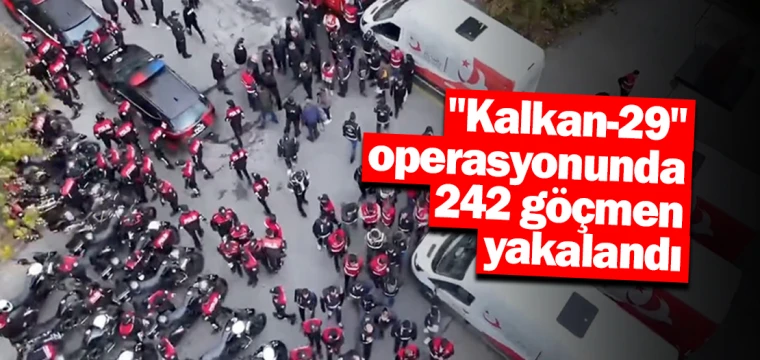 "Kalkan-29" operasyonunda 242 göçmen yakalandı