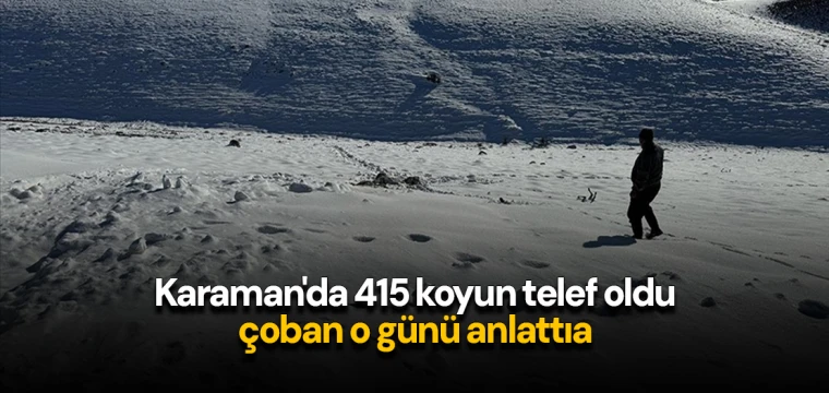 Karaman'da 415 koyun telef oldu, çoban o günü anlattı