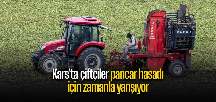 Kars'ta çiftçiler pancar hasadı için zamanla yarışıyor