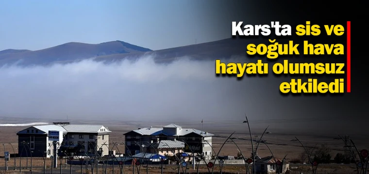 Kars'ta sis ve soğuk hava hayatı olumsuz etkiledi