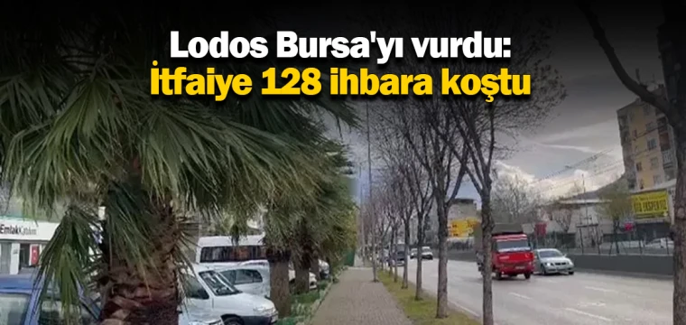 Lodos Bursa'yı vurdu: İtfaiye 128 ihbara koştu