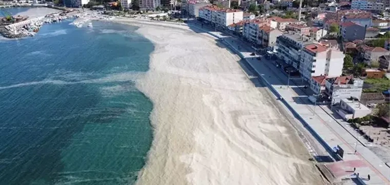 Marmara'da müsilajın deniz yüzeyine çıkması muhtemel