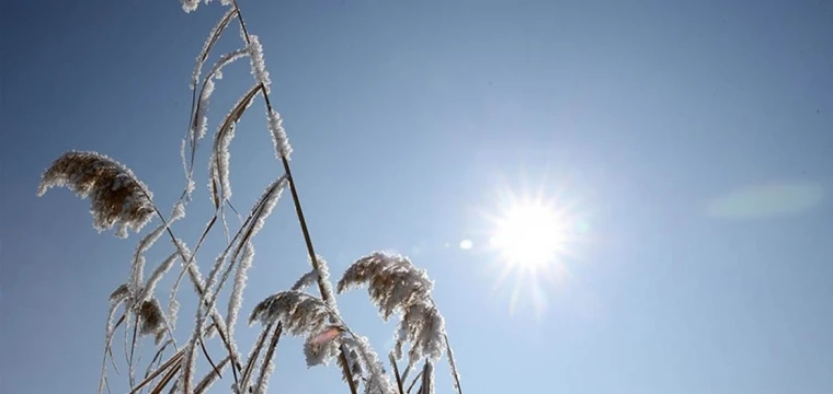 Meteorolojiden "azot dioksit gazı" açıklaması