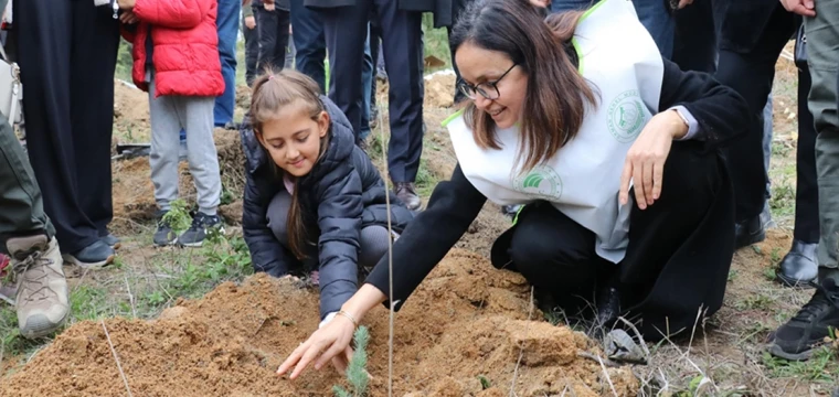 Milli Ağaçlandırma Günü'nde binlerce fidan dikildi