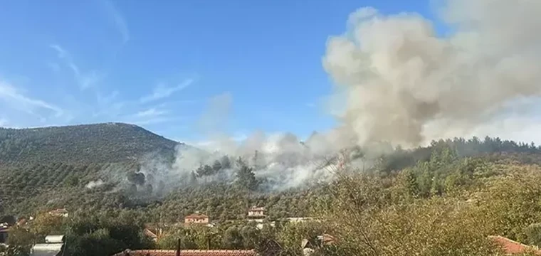 Muğla’da orman yangını