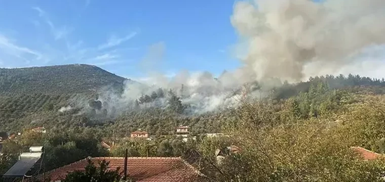 Muğla'daki orman yangını kontrol altında