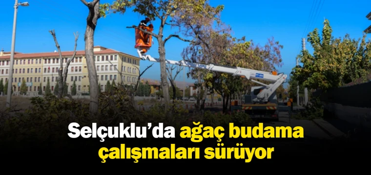 Selçuklu’da ağaç budama çalışmaları sürüyor