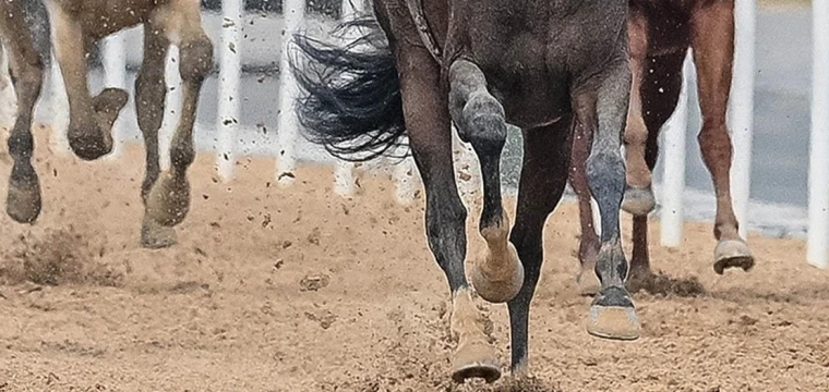 TJK Başkanı, atçılıkta "VAR" sisteminin uygulanacağını açıkladı