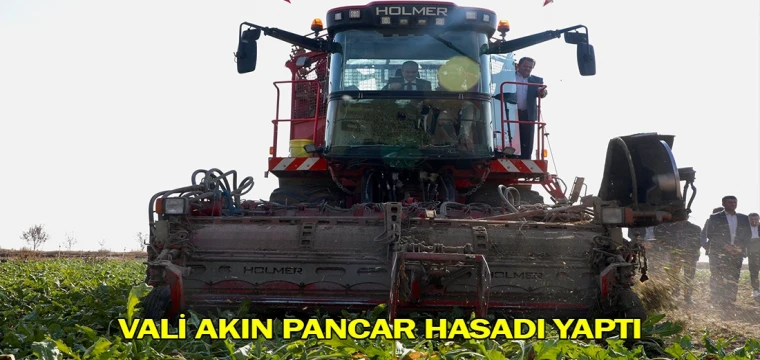 Vali Akın pancar hasadı yaptı