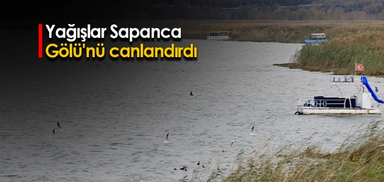 Yağışlar Sapanca Gölü'nü canlandırdı