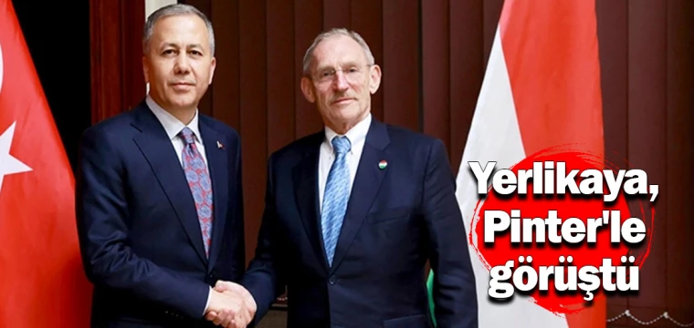 Yerlikaya, Pinter'le görüştü