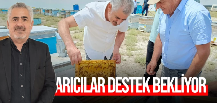 Arıcılar destek bekliyor