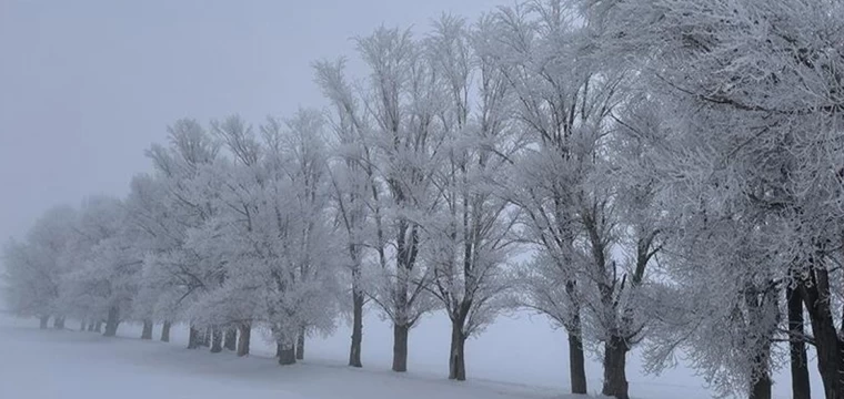 Doğu Anadolu güneydoğusuna kar uyarısı!