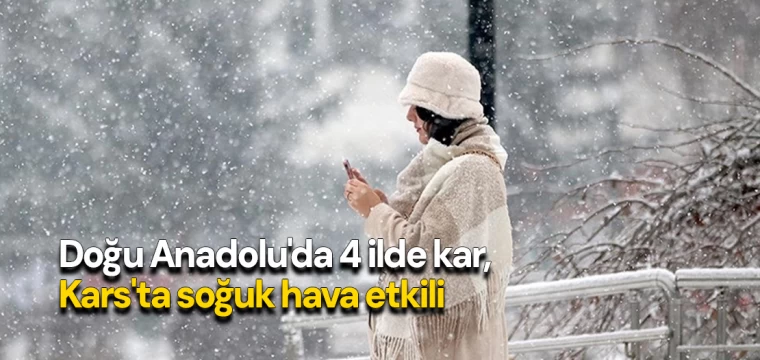 Doğu Anadolu'da 4 ilde kar, Kars'ta soğuk hava etkili