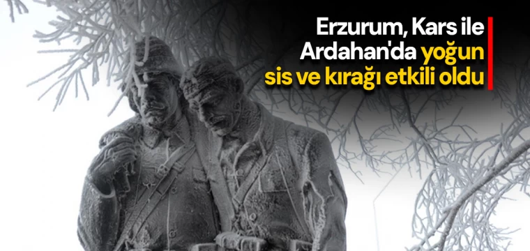 Erzurum, Kars ile Ardahan'da yoğun sis ve kırağı etkili oldu