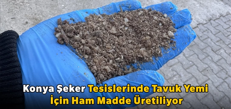 Konya Şeker tesislerinde tavuk yemi için ham madde üretiliyor