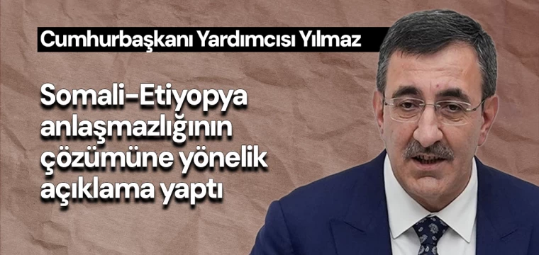 Yılmaz, Somali-Etiyopya anlaşmazlığının çözümüne yönelik açıklama yaptı