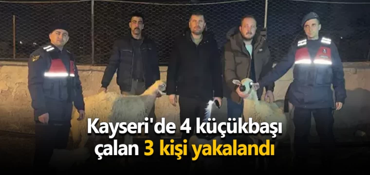 Kayseri'de 4 küçükbaşı çalan 3 kişi yakalandı