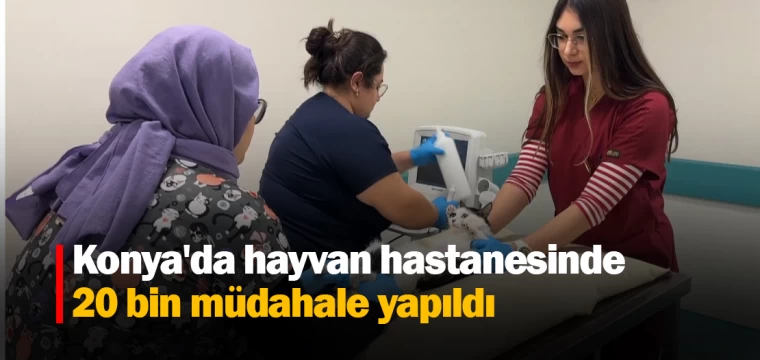 Konya'da üniversitenin hayvan hastanesinde geçen yıl 20 bin müdahale yapıldı