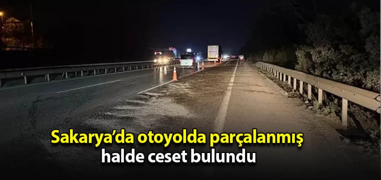 Sakarya’da otoyolda parçalanmış halde ceset bulundu