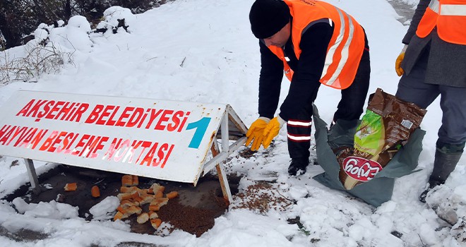 Akşehir Belediyesi hayvanları unutmadı