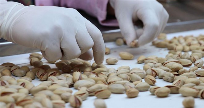 Antep fıstığı da 'Çin Seddi'ni aştı