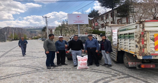 Taşkent'te yüzde 75 hibe destekli tohum dağıtıldı