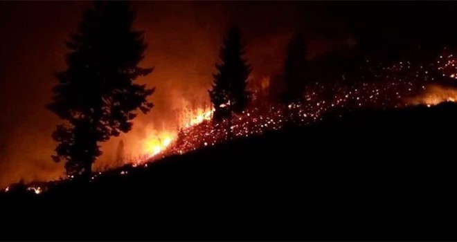 Trabzon ve Giresun'da orman yangınları