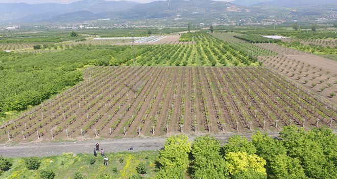 'Bitki Destek Üniteleri' Uygulaması hayata geçti