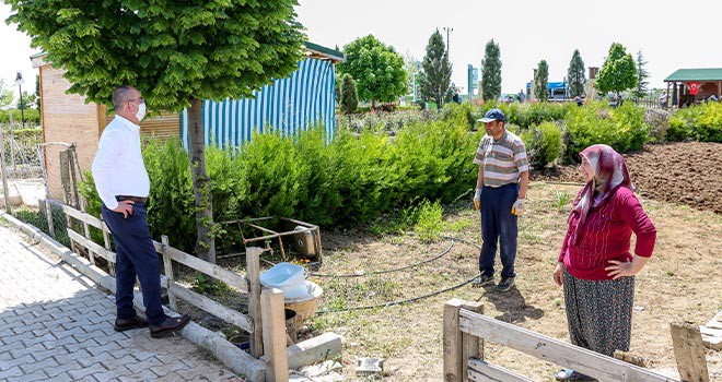 Hobi bahçelerinde ekim zamanı  geldi