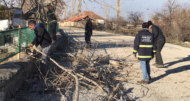 Şiddetli rüzgar direk ve ağaları devirdi