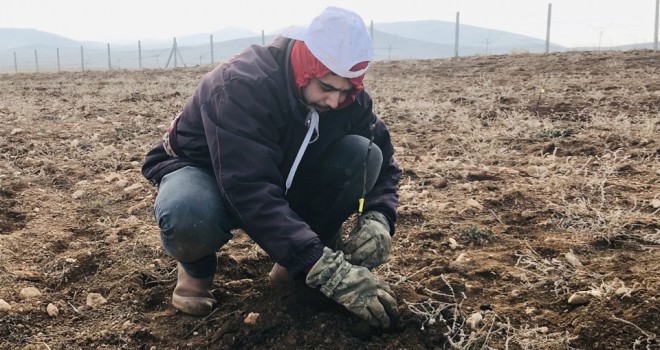 Artık, ceviz ve badem yetiştirecekler