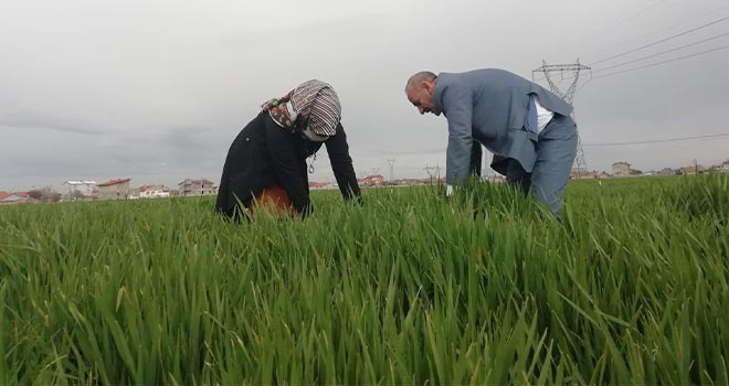 Tarım hak ettiğini alacak