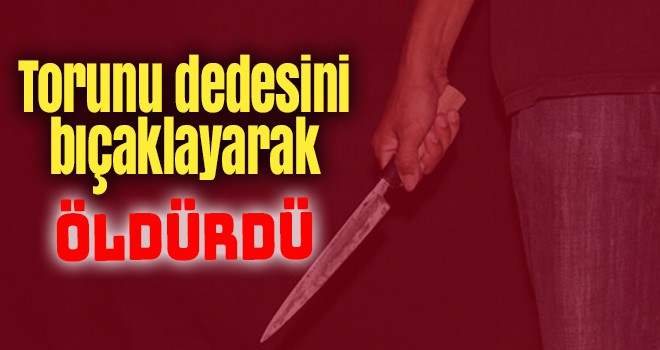 Torunu dedesini bıçaklayarak öldürdü