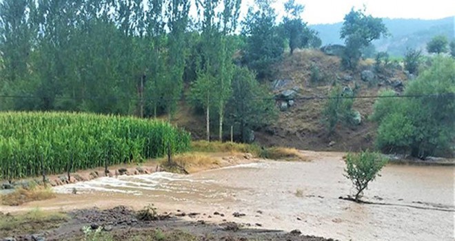 Seydişehir'de geçen hafta etkili olan sağanak patates üreticisini vurdu