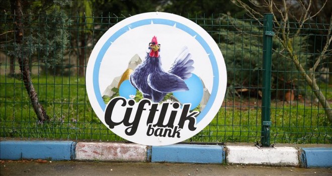 'Çiftlik Bank' yöntemiyle dolandırıcılık