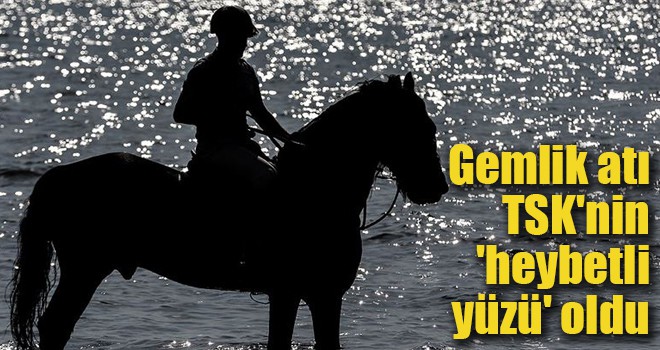 Gemlik atı TSK'nin 'heybetli yüzü' oldu