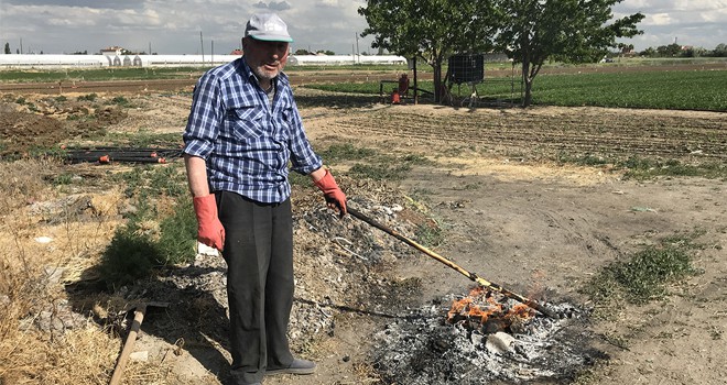 65 yaş üzeri vaktini Bahçesinde geçiriyor