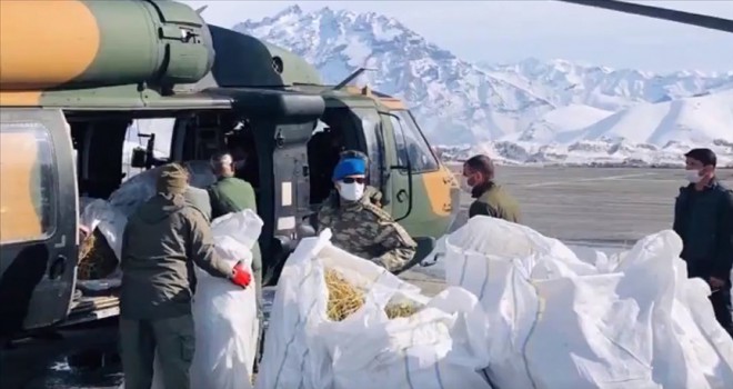 Mehmetçik Hakkari'de dağ keçilerine havadan yem bıraktı