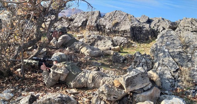 Bitlis ve Siirt'te 'Kıran-8 Sehi Ormanları Operasyonu' başladı