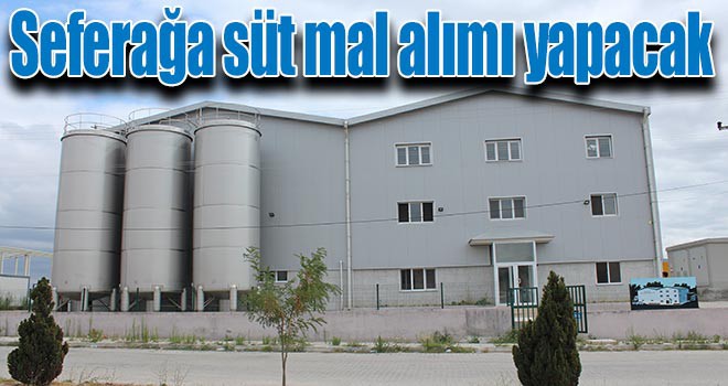 Seferağa süt mal alımı yapacak