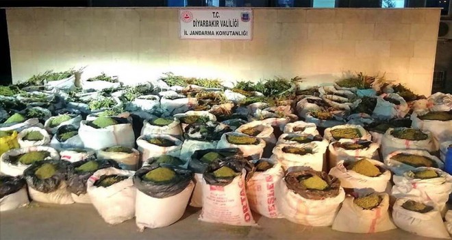 Diyarbakır'da 5 ton 81 kilogram esrar ele geçirildi