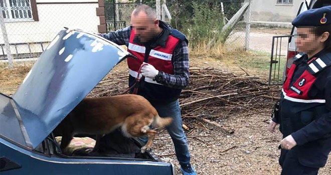 Jandarmadan zehir tacirlerine operasyon: 8 gözaltı